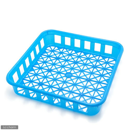 楽天市場】ボトルコンテナ 1個 昆虫 菌糸ビン お一人様5点限り 関東