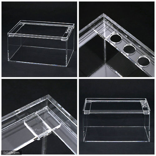 楽天市場】水槽 アクリル水槽 ラクシス No．8 （300×200