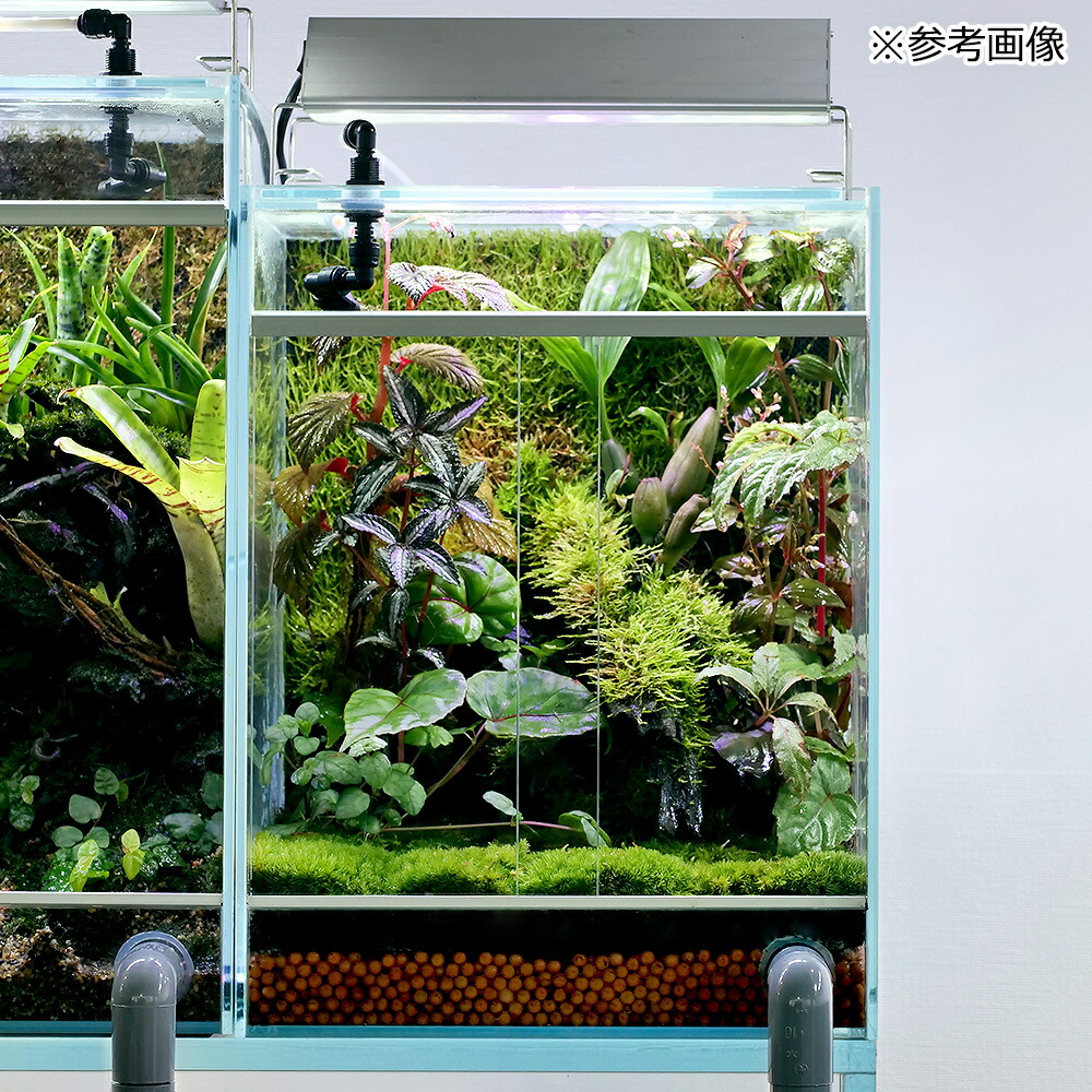 楽天市場】アクロ TRIANGLE テラリウム・アクアポニックス