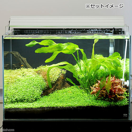 楽天市場】アクロ TRIANGLE LED BRIGHT 600