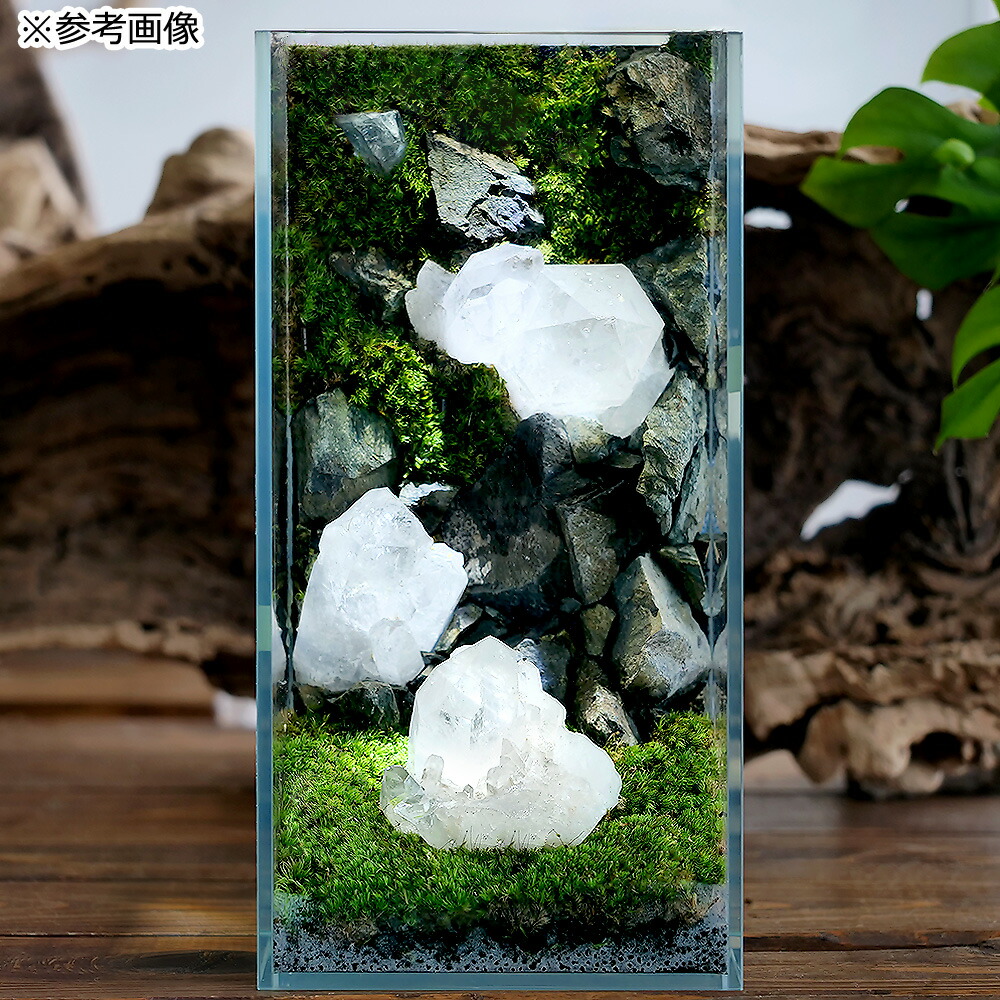 楽天市場】形状お任せ レインボーフローライト（蛍石） 100g 鉱物