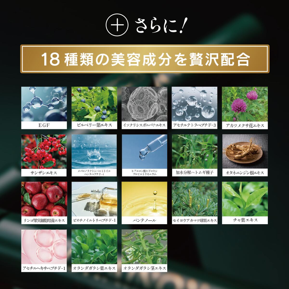 楽天市場】CHAINON(シェノン) アイラッシュセラム 4ml まつ毛美容液