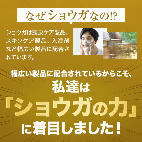 楽天市場】【最大20％OFFクーポン配布中 2/23 1:59まで】【全額返金