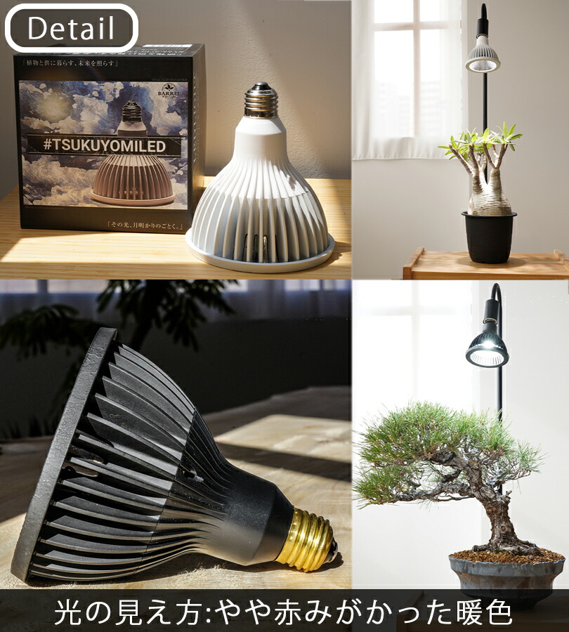 楽天市場】【マラソン限定クーポンで500円OFF!】NEO TSUKUYOMI LED 20W