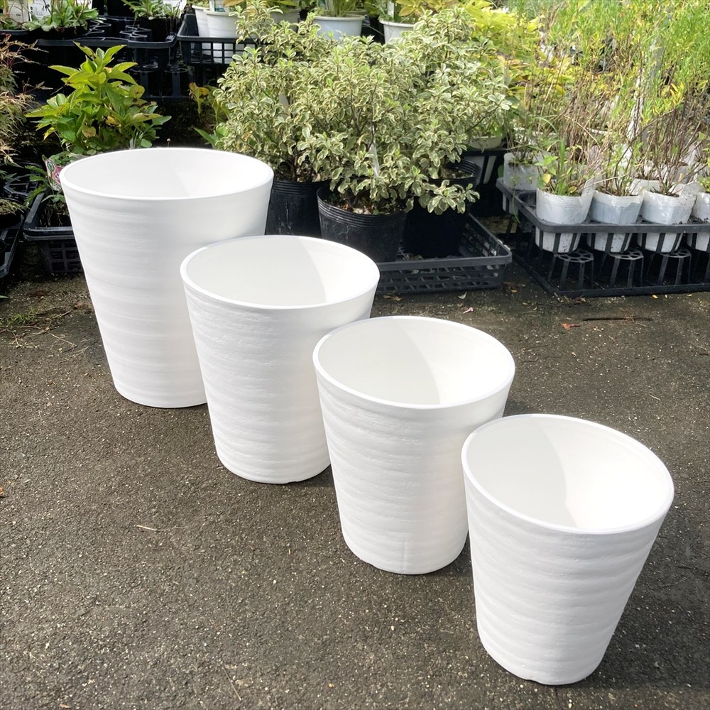 楽天市場】セラアート長鉢 サイズ：6～10号（ホワイト） : 千草園芸