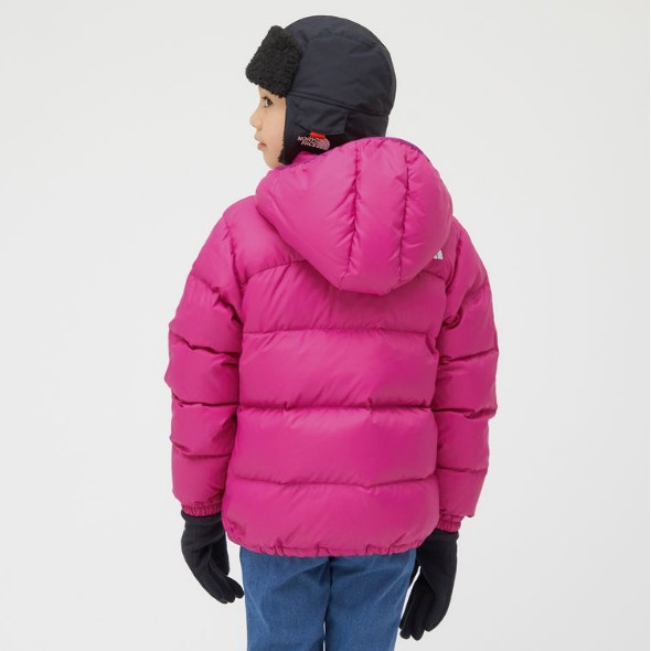 楽天市場】THE NORTH FACE ザ・ノース・フェイス アコンカグアフーディ