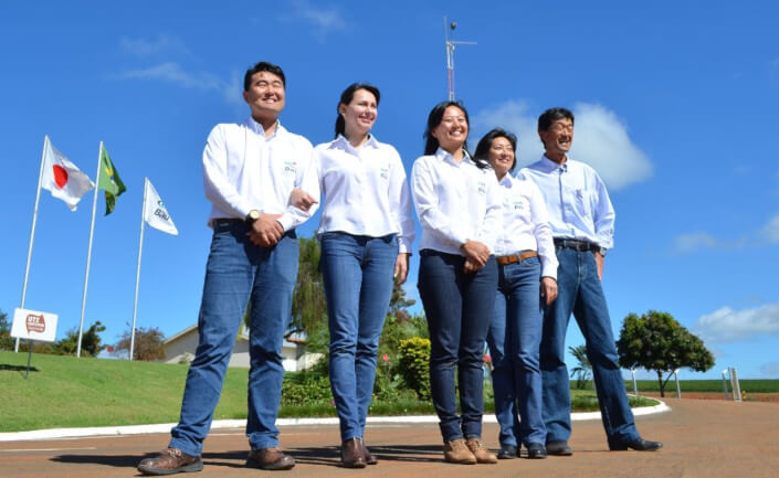 楽天市場】DRIP TRIP コーヒー 生豆 ブラジル トミオフクダ バレ・ド