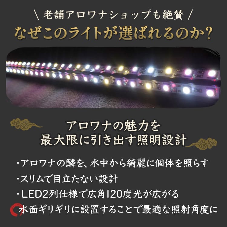 楽天市場】過背金龍 アロワナライト 水槽ライト 藍底金龍 熱帯魚ライト