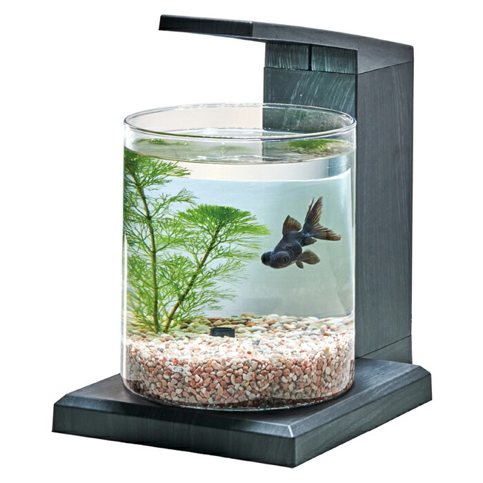 楽天市場】【新商品】 GEX グラスアクア PERCO C-Charcoal Black