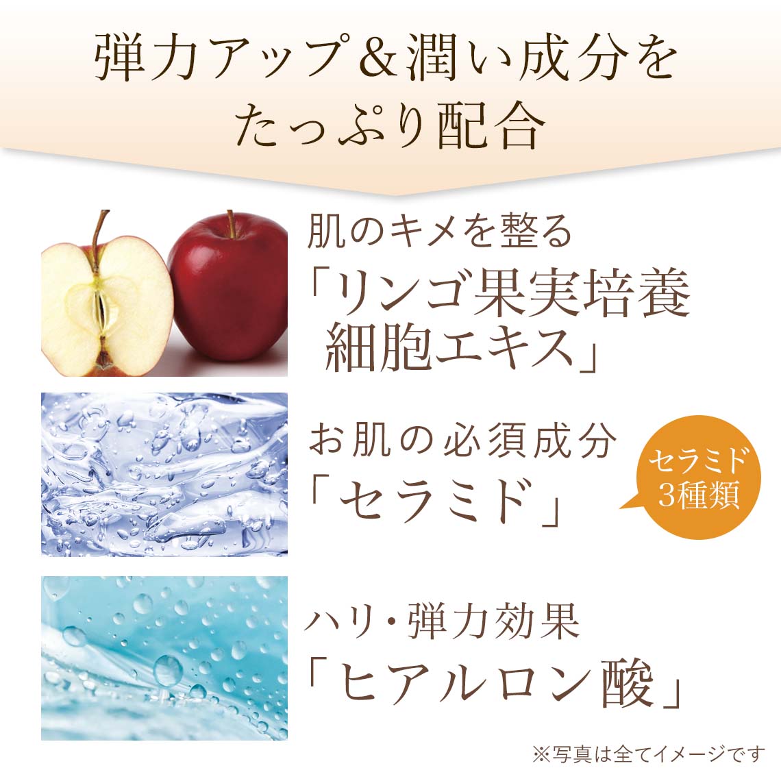 楽天市場】【エントリーで全品ポイント10倍】楽天ランキング入賞