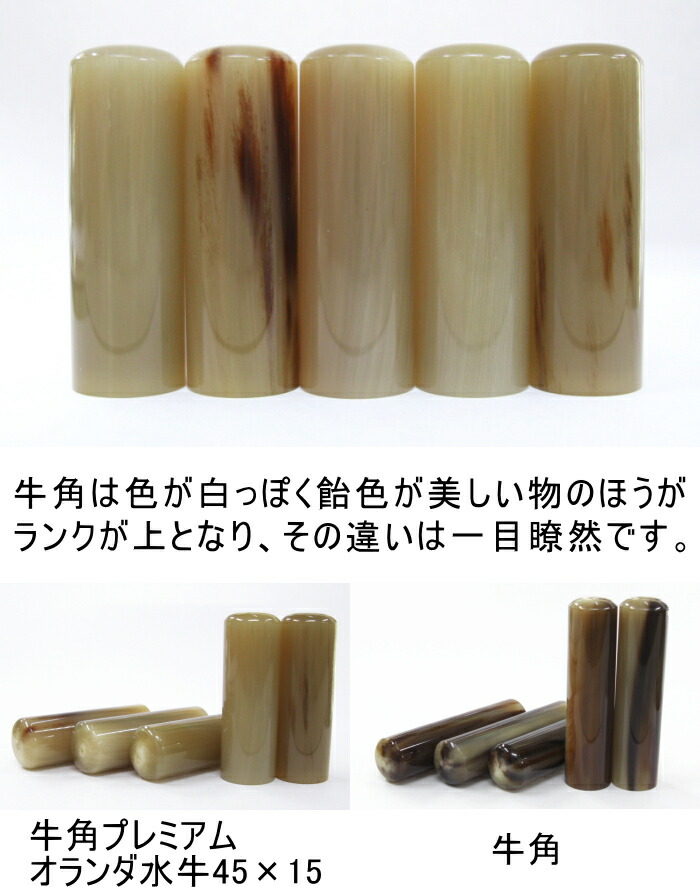 楽天市場】印鑑 手彫り仕上げ 芯持ち 牛角プレミアム オランダ水牛45