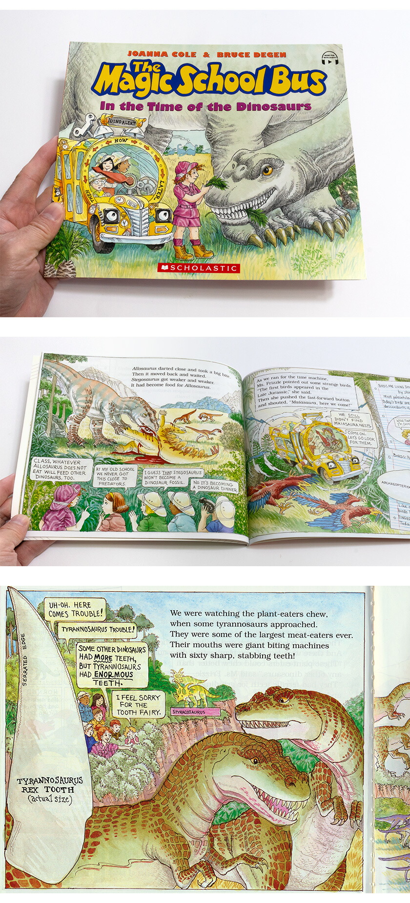 楽天市場】The Magic School Bus ベスト 6冊 BOXセット 朗読音声付き