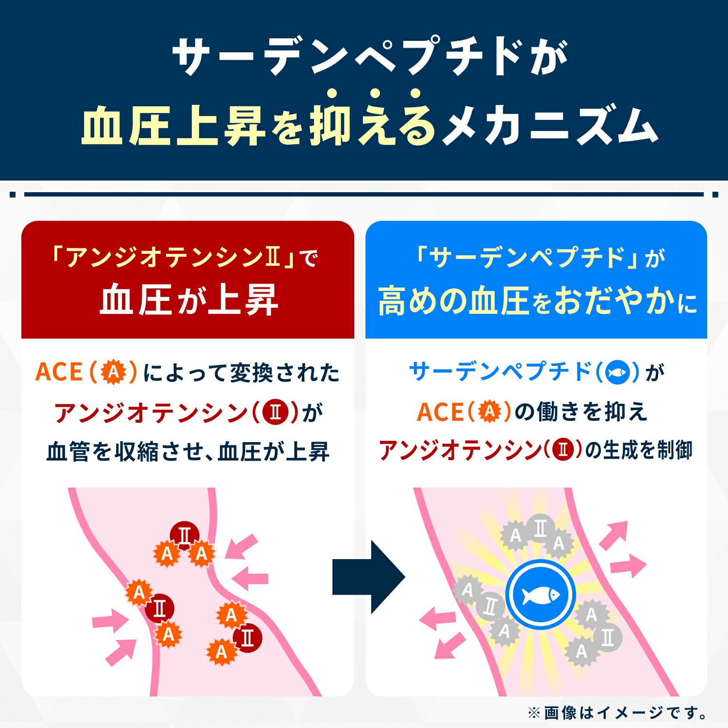 楽天市場】ヘルケア4粒×30袋入×2箱 血圧 サプリ 血圧サプリ 4粒×30袋入