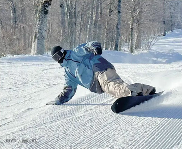 楽天市場】ラスト1点 146 送料無料 スノーボード 板 Scooter