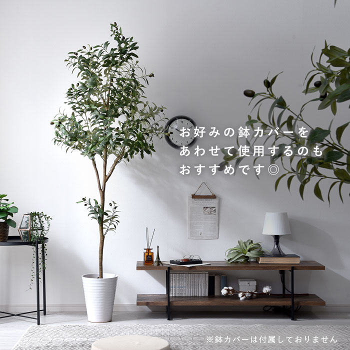 楽天市場】フェイクグリーン 大型 玄関 オリーブ オリーブの木 180cm