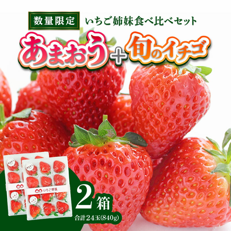 楽天市場】【ふるさと納税】＜2026年1月〜順次発送＞いちご姉妹