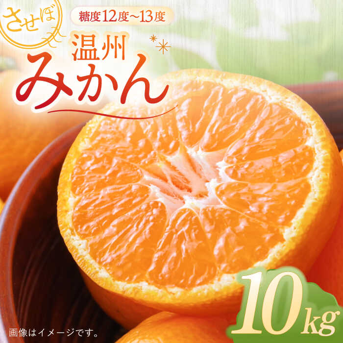 楽天市場】【ふるさと納税】させぼ温州みかん 約10kg【おだ農園