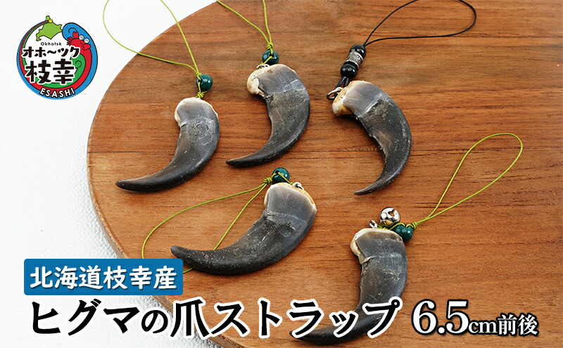 楽天市場】【ふるさと納税】北海道枝幸産 ヒグマの爪ストラップ 6.5cm