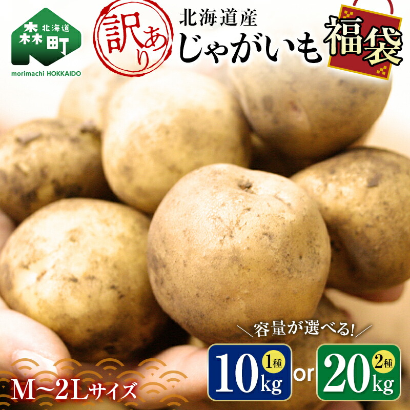 楽天市場】【ふるさと納税】＜容量が選べる＞【訳あり】北海道森町産