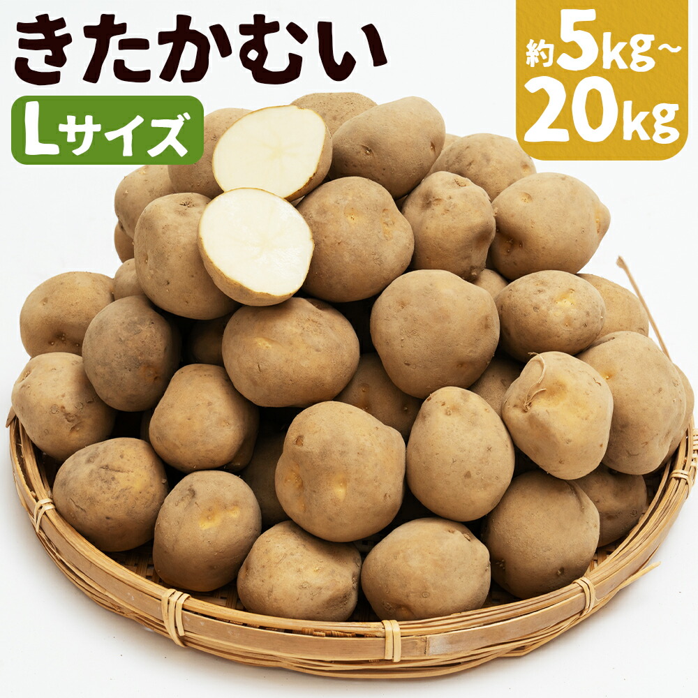 楽天市場】【ふるさと納税】じゃがいも きたかむい 約5kg / 約10kg
