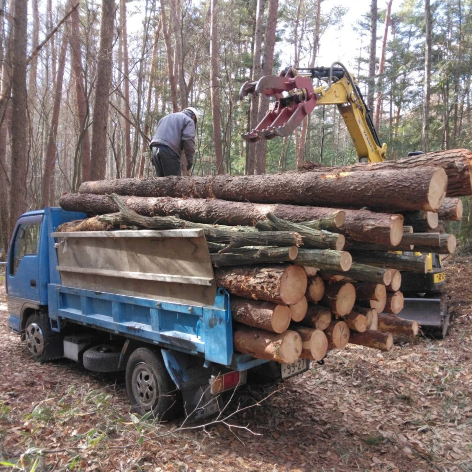 楽天市場】【ふるさと納税】即使用可能 完全乾燥薪 1立米(軽トラック1