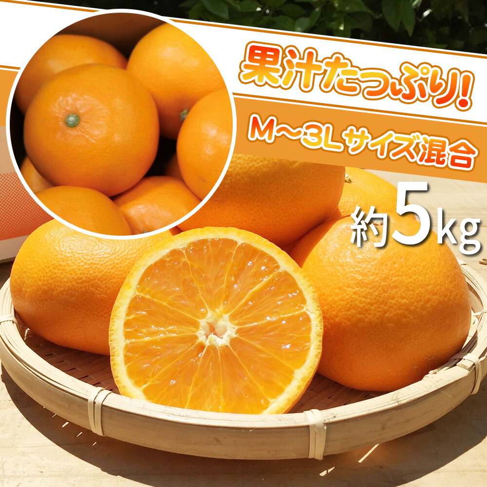 楽天市場】【ふるさと納税】【限定】 【産地直送】和歌山県産 せとか