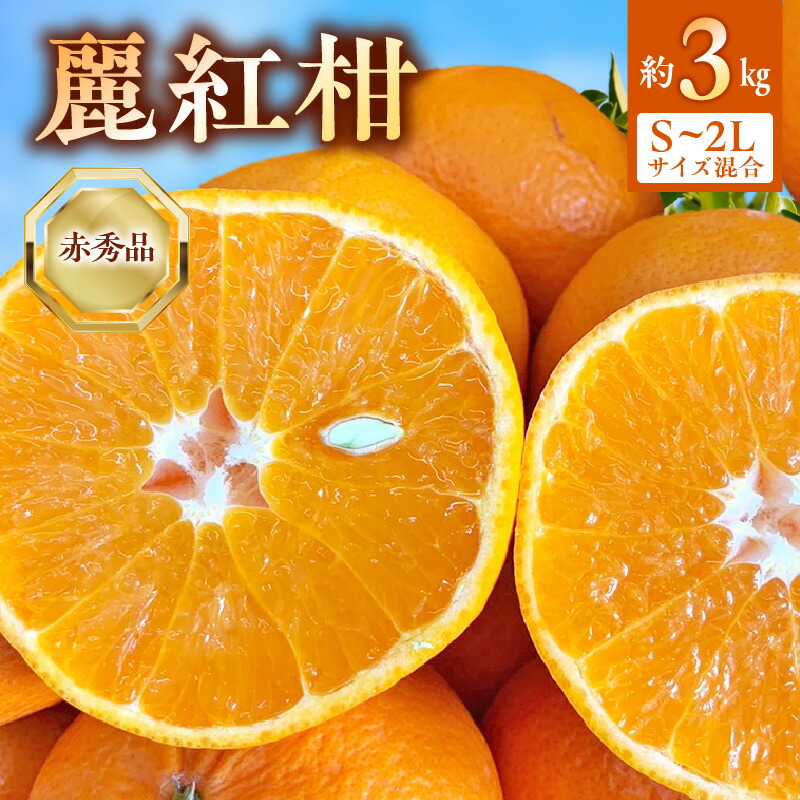 楽天市場】【ふるさと納税】【2026年先行受付】 麗紅柑 (れいこう) 赤