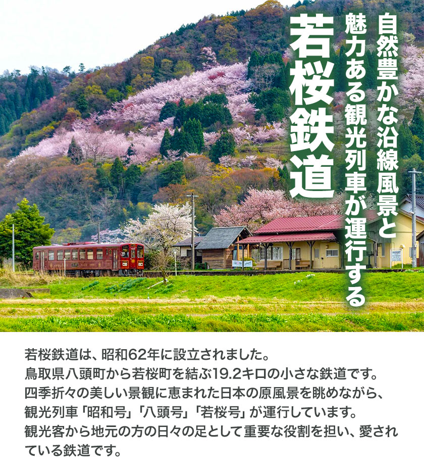 楽天市場】【ふるさと納税】鉄道模型 若桜鉄道WT3000形2両セット 若桜