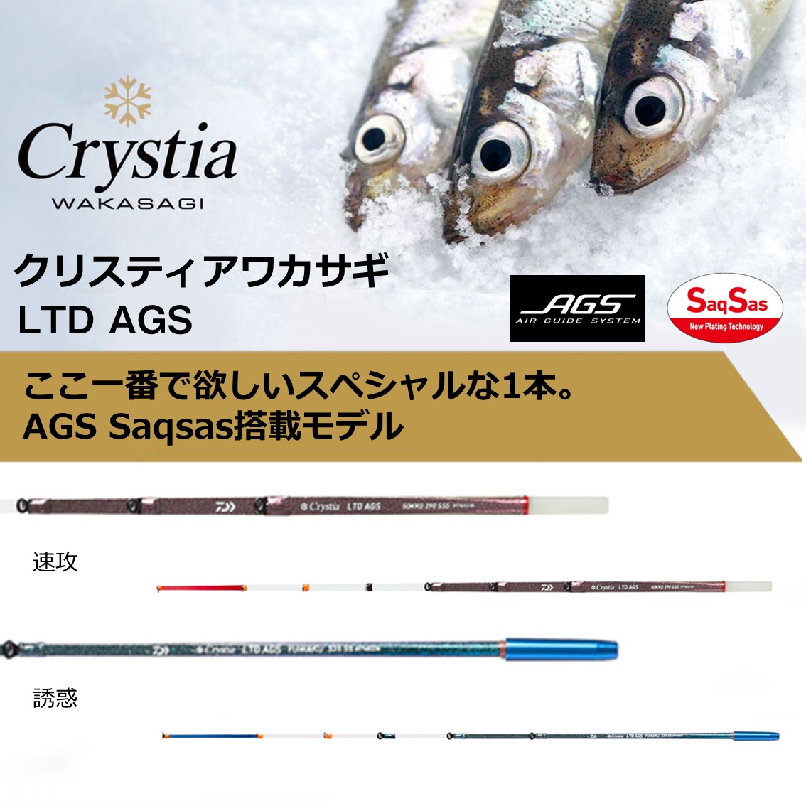 楽天市場】ダイワ クリスティア ワカサギ LTD AGS 速攻 290 SSS (Daiwa