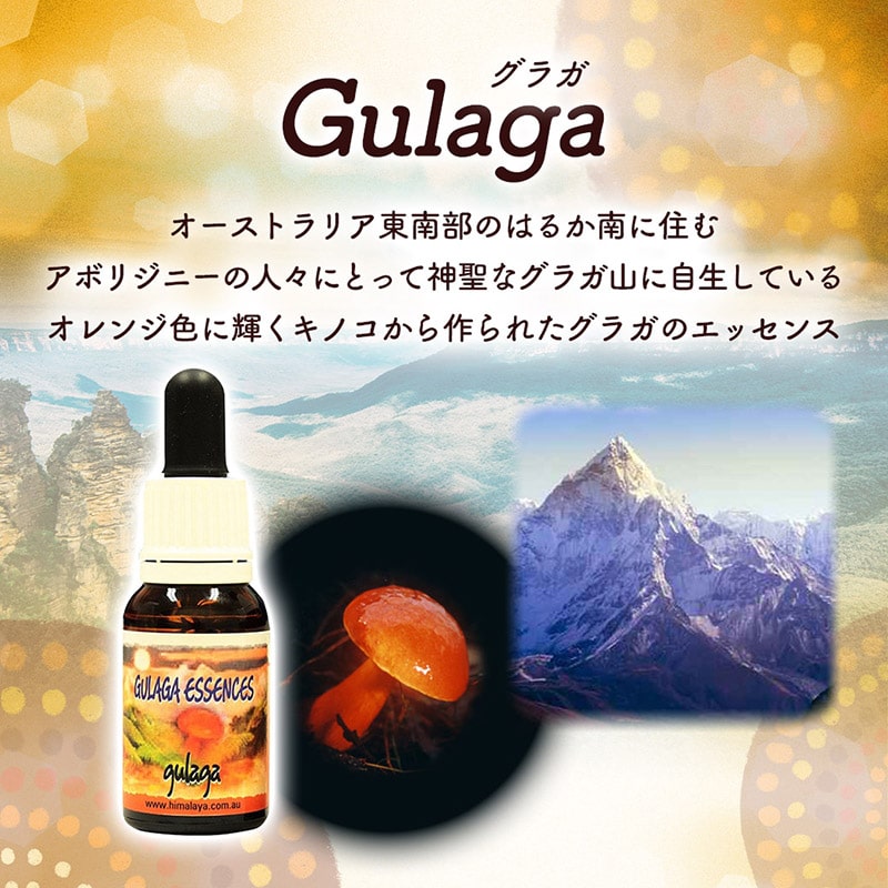 楽天市場】【お買い物マラソン最大2222円割引クーポン配布中】グラガ