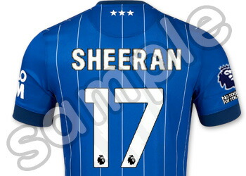 楽天市場】アンブロ イプスウィッチ ユニフォーム ホーム 24/25 2024