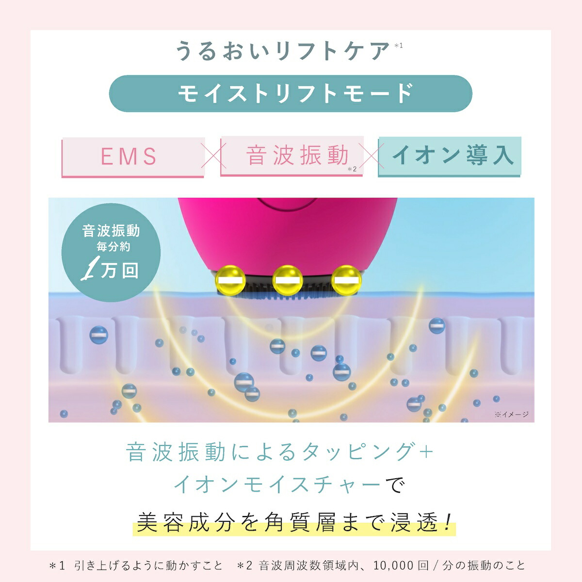 楽天市場】【2点購入で1商品5%OFFクーポン！ 〜 2/23 1:59】【正規販売