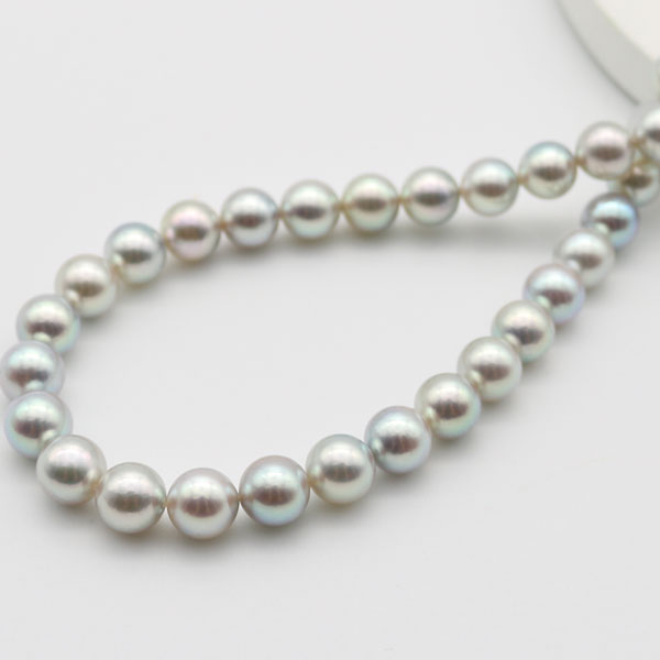 楽天市場】真珠 パール ネックレス あこや真珠 パールネックレス 8mm