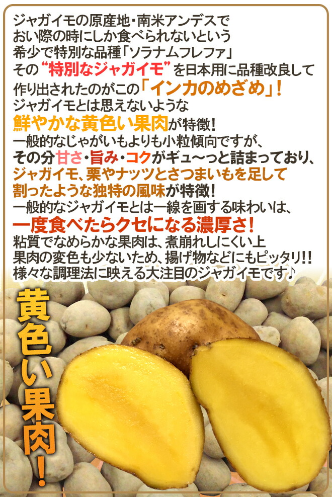 楽天市場】北海道 ”インカのめざめ” 訳あり 約10kg 大きさおまかせ