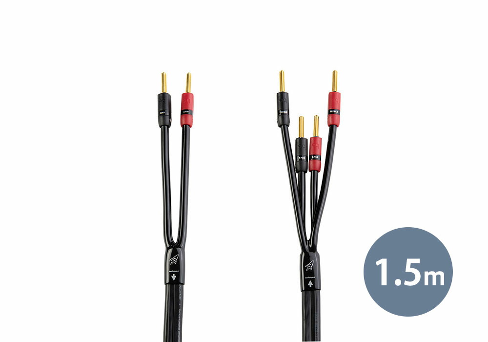 楽天市場】audioquest スピーカーケーブルの通販