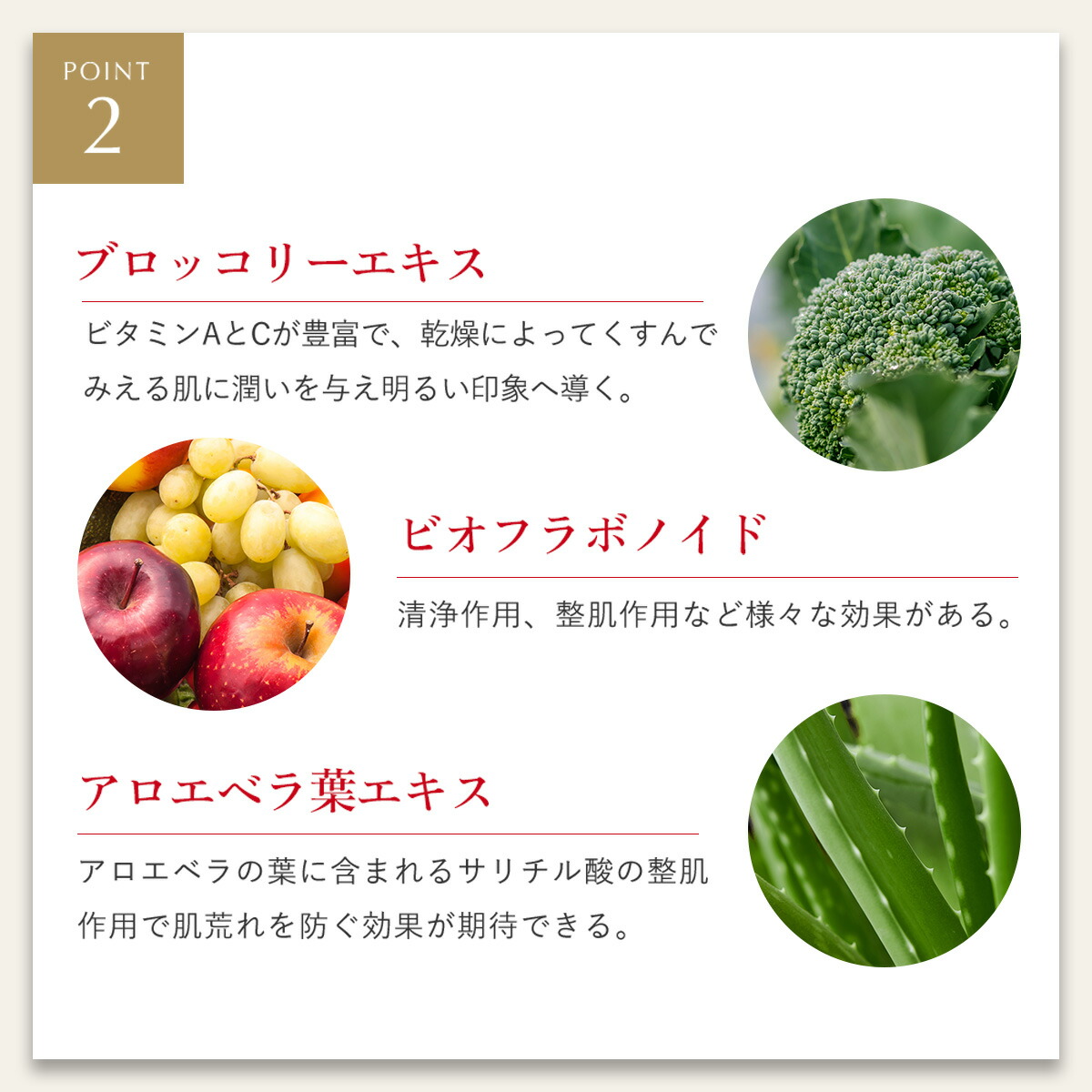 楽天市場】モイストオイル クレンジングウォーター【MEGUMI開発