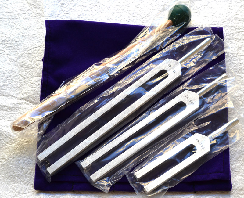 楽天市場】【数量限定30%OFF】【アメリカBIOSONICS製】ハイグレード