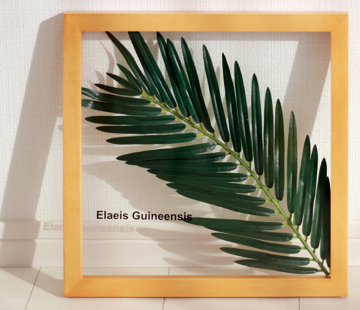 楽天市場】リーフパネル 絵画 ギニアアブラヤシ ナチュラルフレーム
