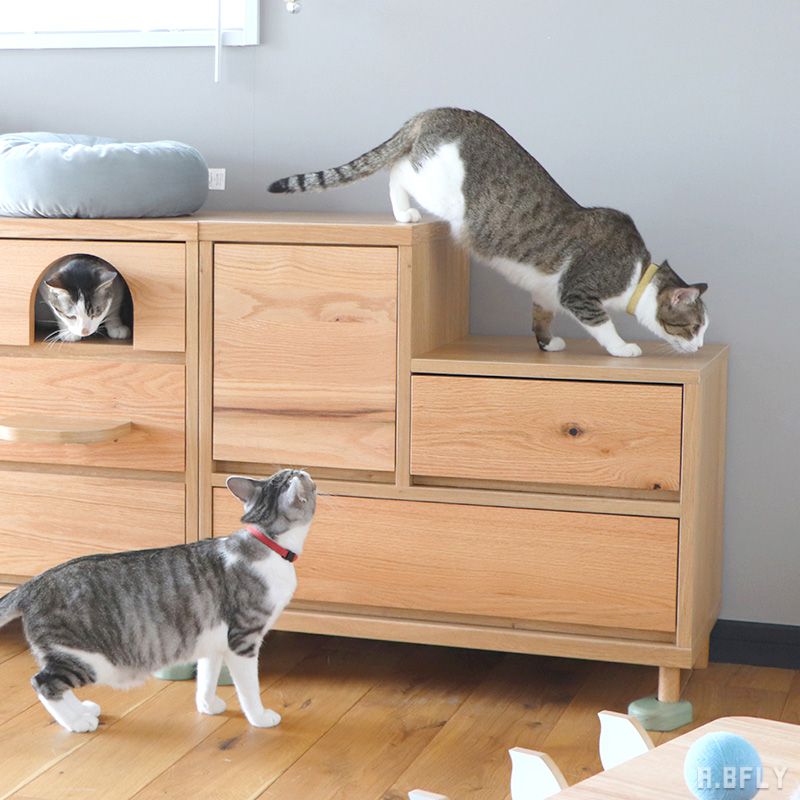 楽天市場】【日本製】猫 階段チェスト キャットステップ 引出収納
