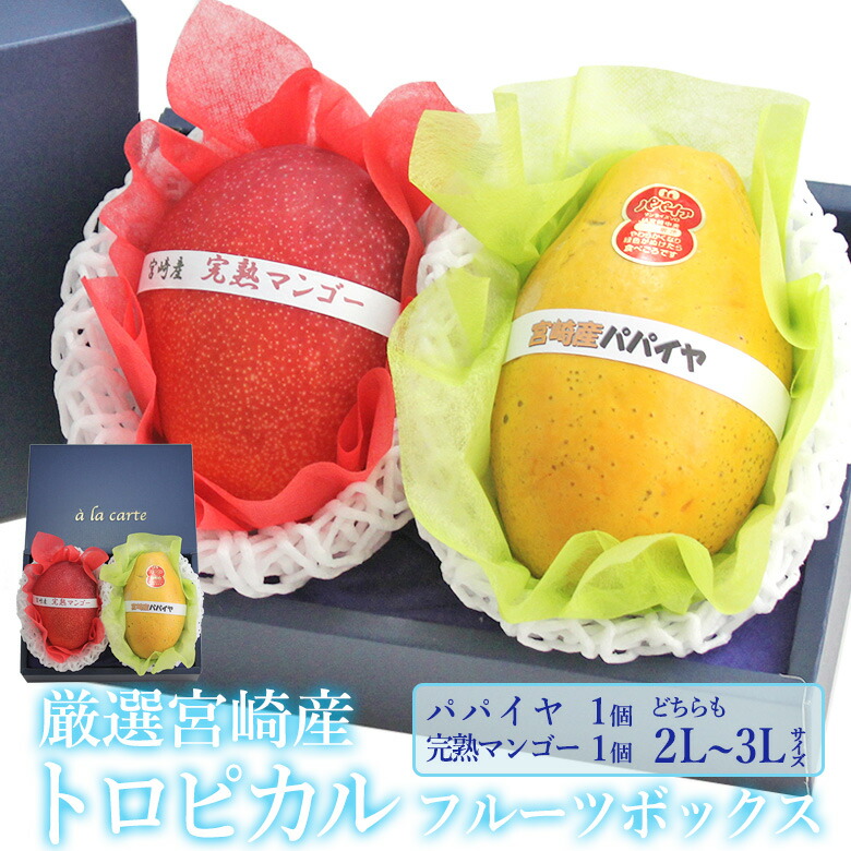 楽天市場】厳選 国産 トロピカル フルーツボックス 完熟マンゴー