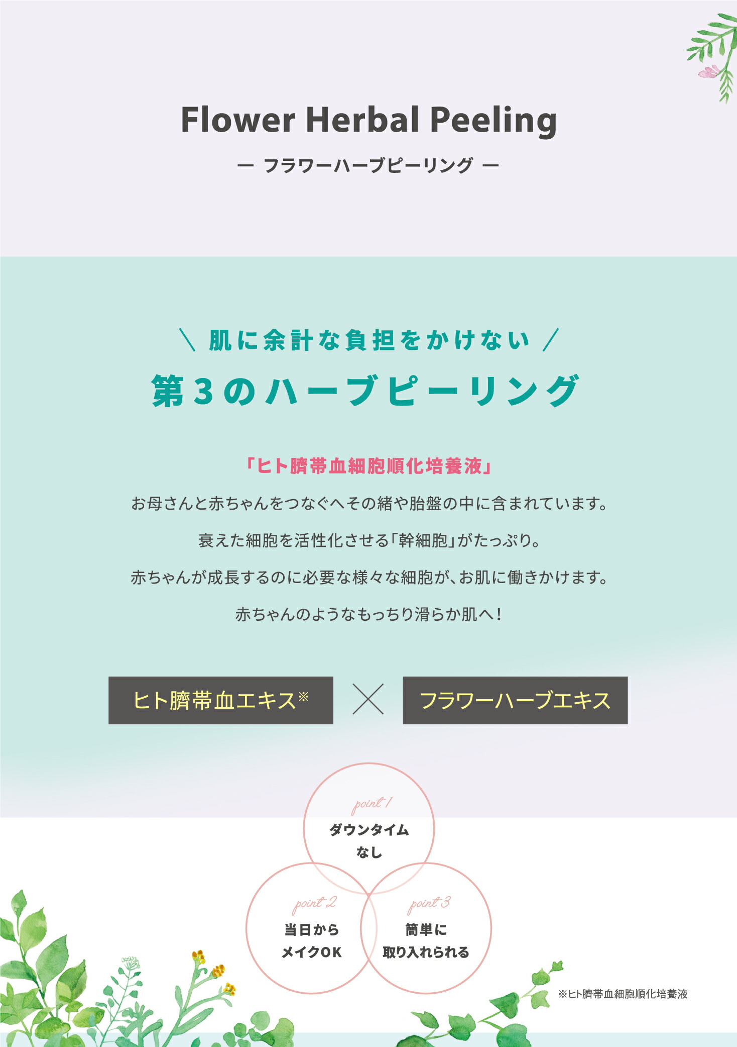 楽天市場】＜Upm＞ フラワーハーブピール 270g【定価25300円 楽天価格