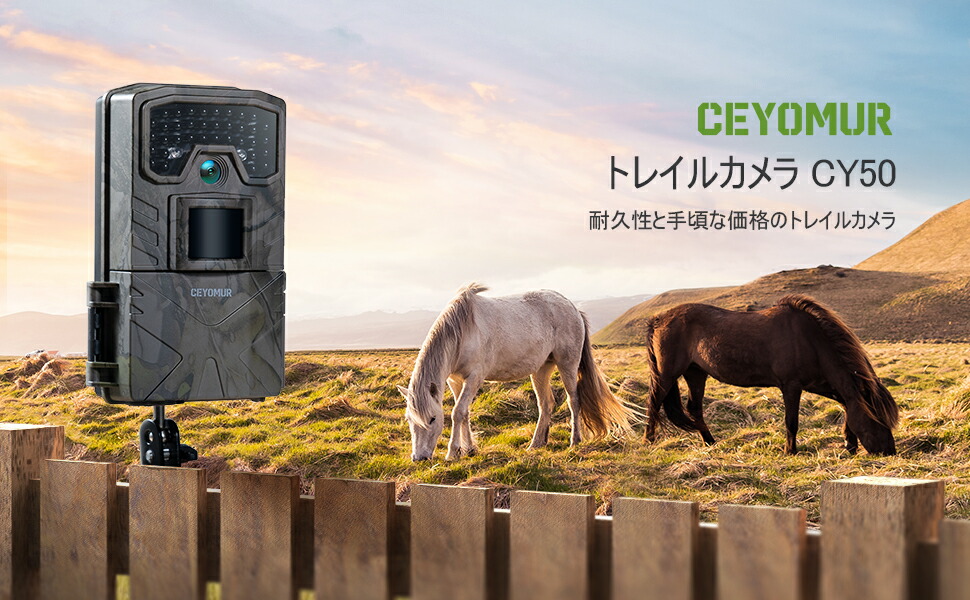 楽天市場】監視カメラ トレイルカメラ 3000万画素 防犯カメラ IP66