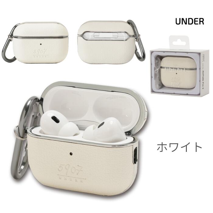 Aria Pro II TA-62C ソフトケース付き Aria Pro II TA-62C ソフト