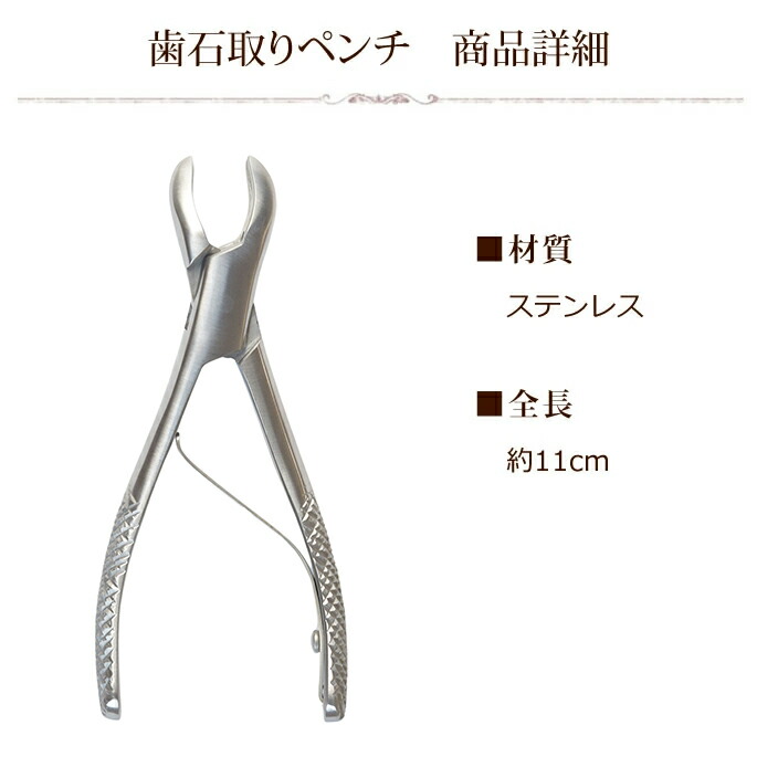 楽天市場】【割引クーポン配布中】歯石取り3点＆デンタルサプリセット