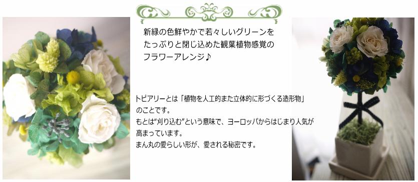 楽天市場】プリザーブドフラワー トピアリー 内祝い 手作り ギフト