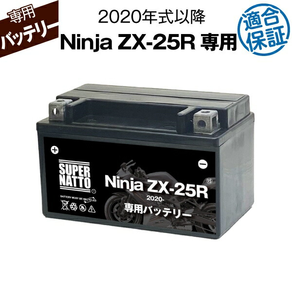 ninjazx25r-01.jpg