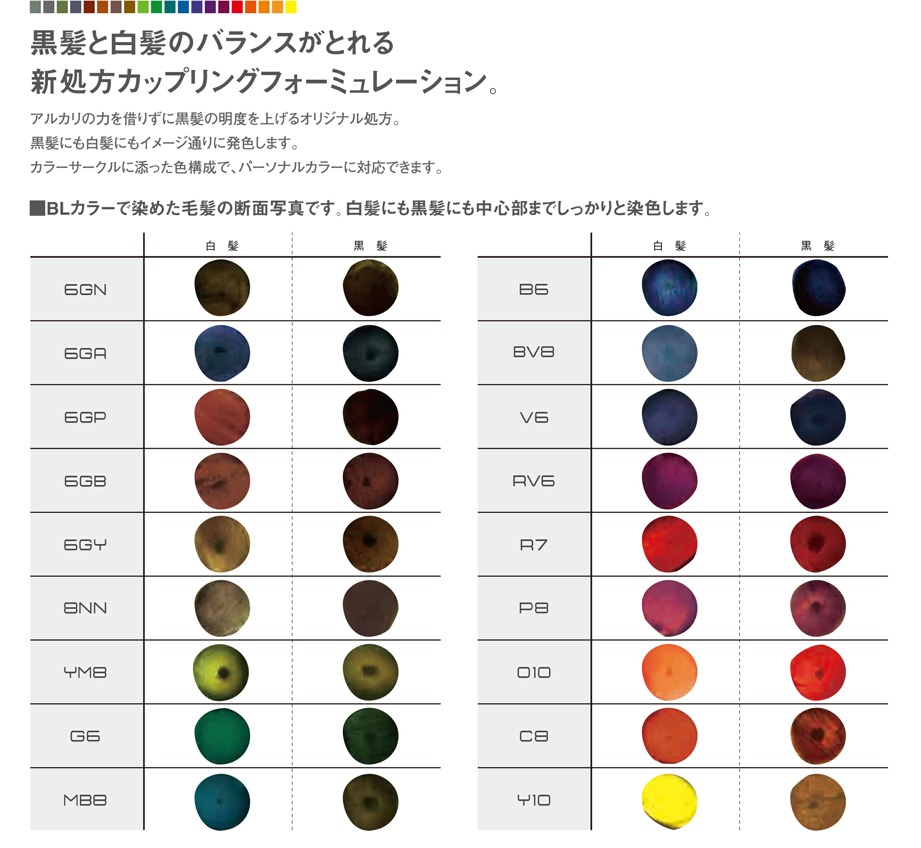 楽天市場】フィヨーレ BLカラー 100ml オキシセット アッシュ