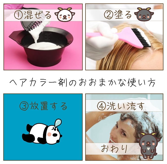 楽天市場】FIOLE フィヨーレ BLカラー ラディーチェ [ ルビーブラウン