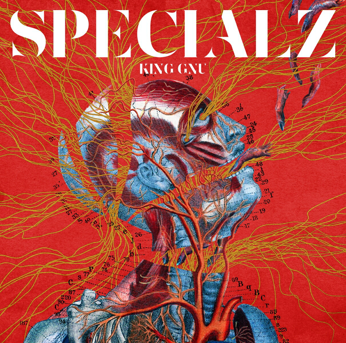 楽天ブックス: SPECIALZ - King Gnu - 4547366636482 : CD