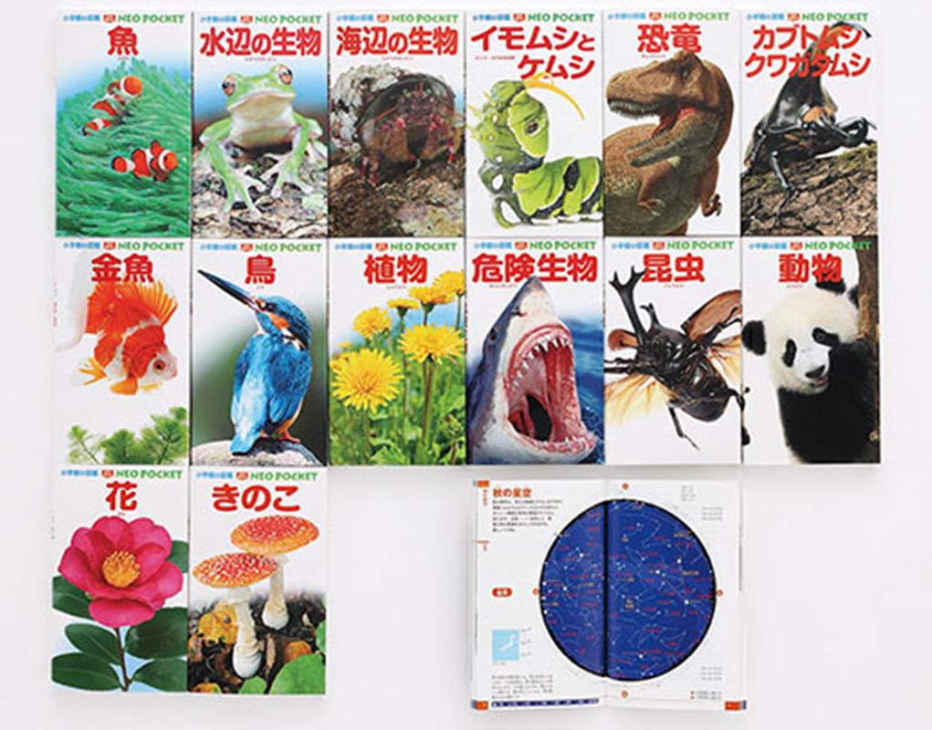小学館の図鑑 NEO 14冊セット 小学館の図鑑NEO14冊セット 小学館の図鑑